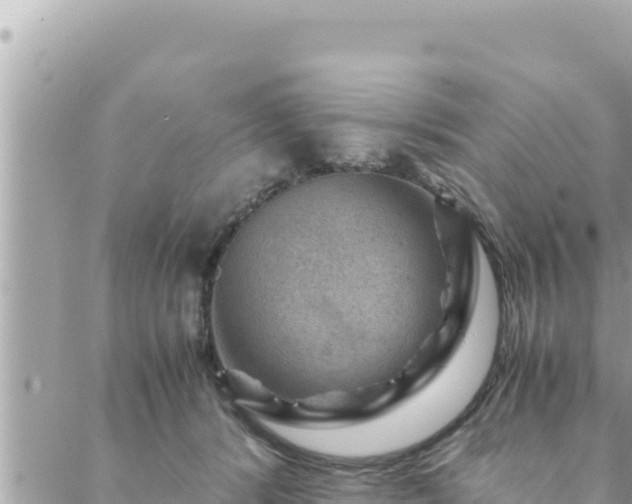 X0000088600416200706011207