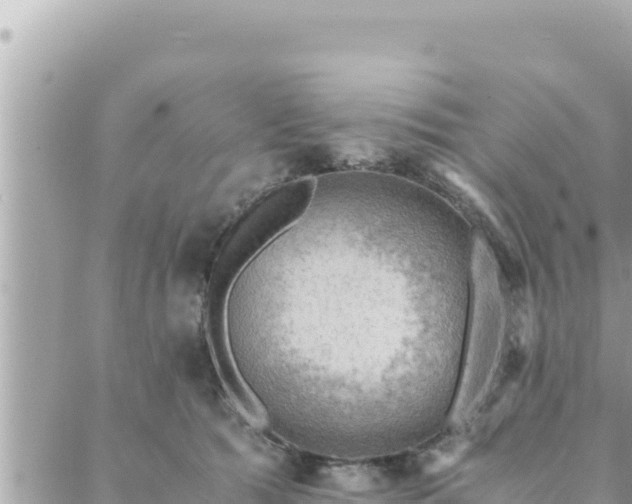 X0000088600417200706011207