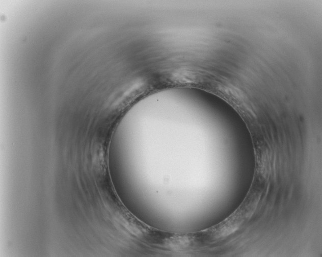 X0000088600418200706011207