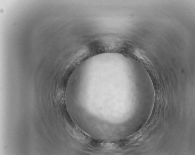 X0000088600419200706011207