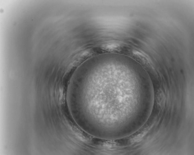 X0000088600420200706011207