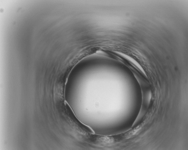 X0000088600421200706011207