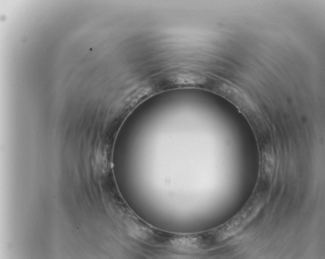 X0000088600422200706011207