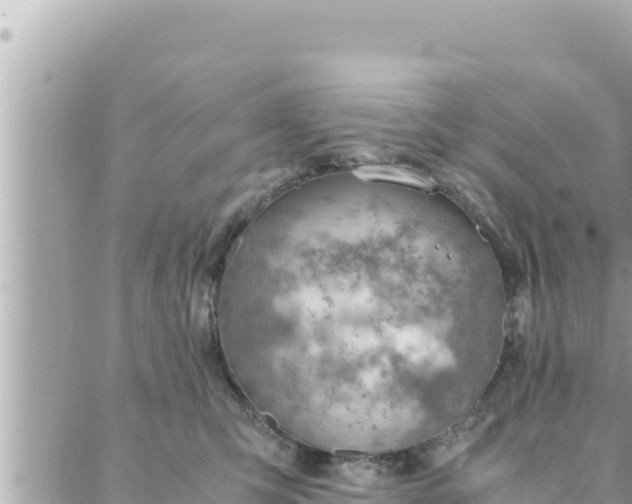 X0000088600423200706011207