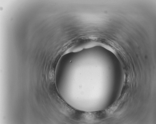 X0000088600425200706011207