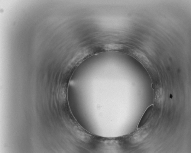 X0000088600426200706011207