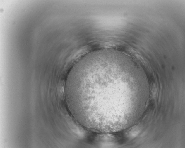 X0000088600427200706011207