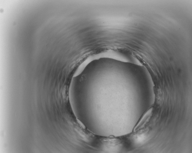 X0000088600428200706011207