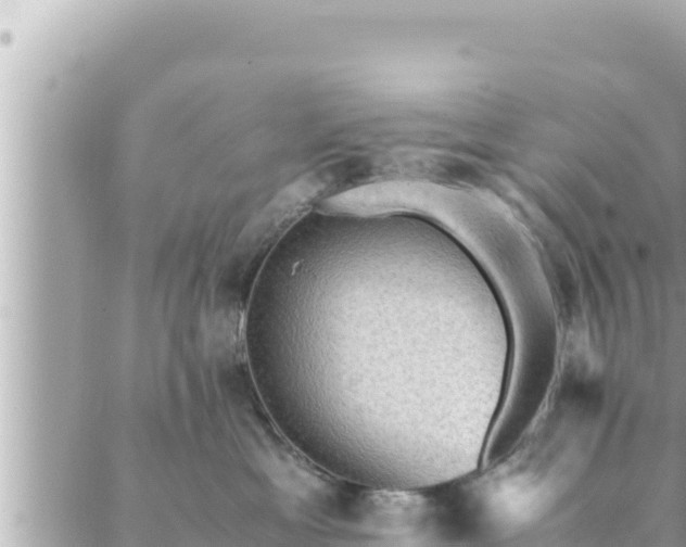 X0000088600429200706011207