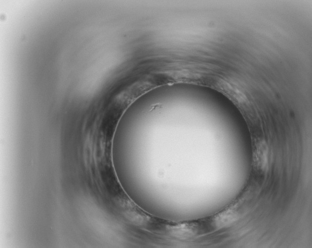 X0000088600430200706011207