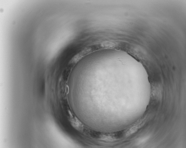 X0000088600431200706011207