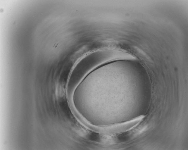 X0000088600432200706011207