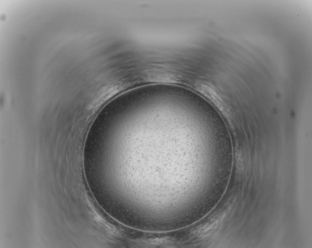 X0000088600433200706011206