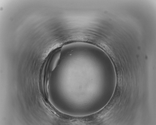 X0000088600434200706011206