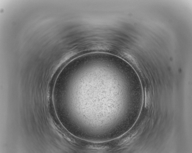 X0000088600435200706011206