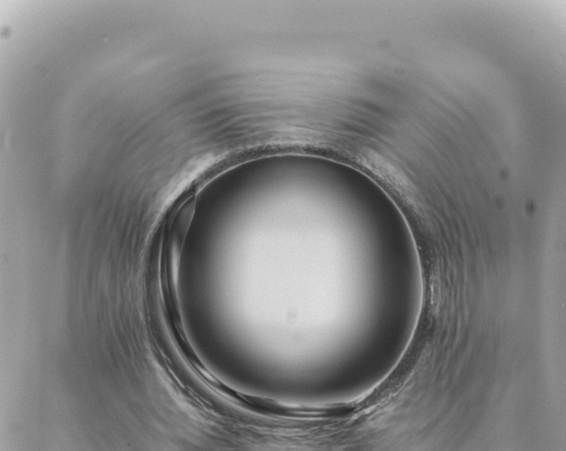 X0000088600436200706011206