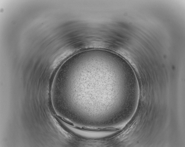 X0000088600437200706011206