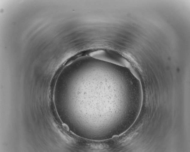 X0000088600439200706011206