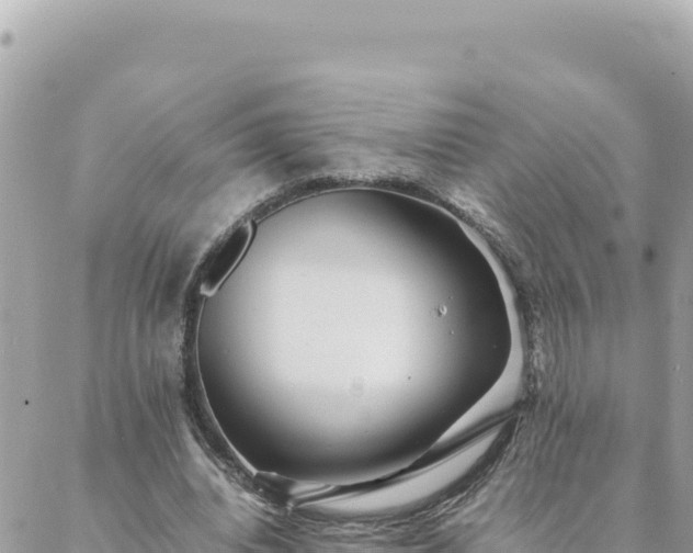 X0000088600440200706011206