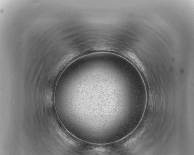 X0000088600441200706011206