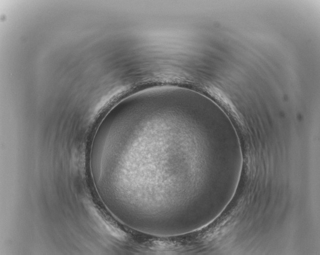 X0000088600442200706011206