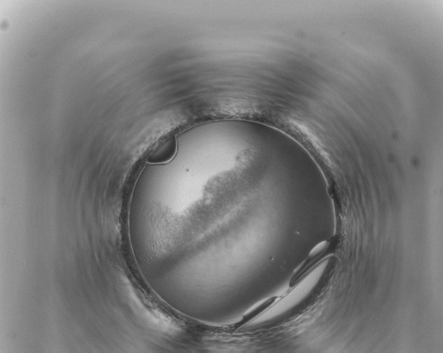 X0000088600443200706011206