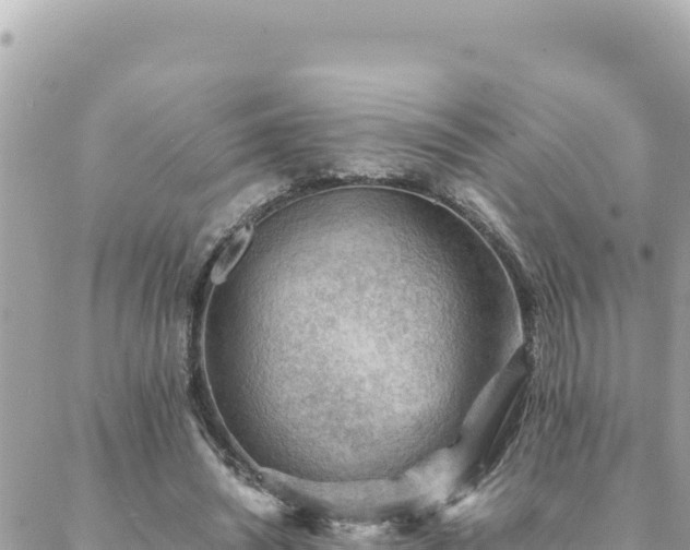 X0000088600444200706011206