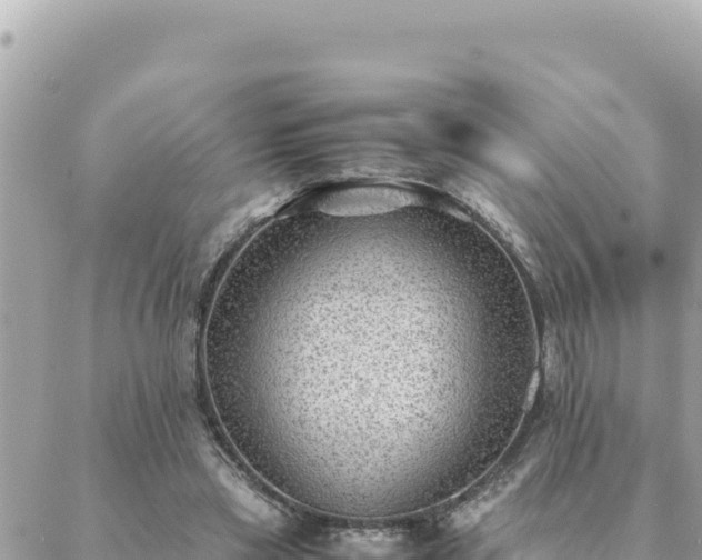 X0000088600445200706011207