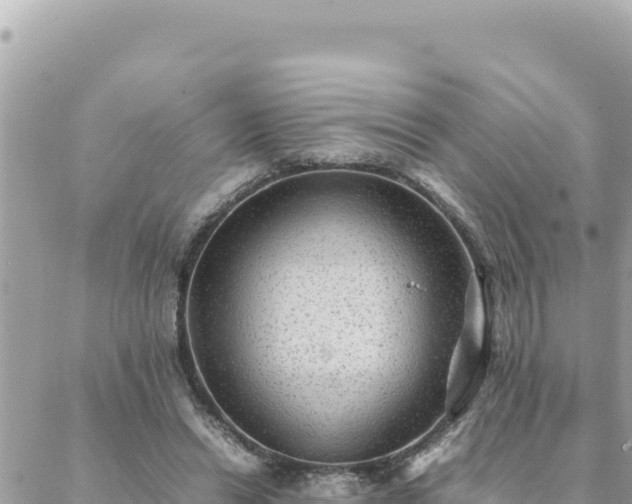 X0000088600446200706011207