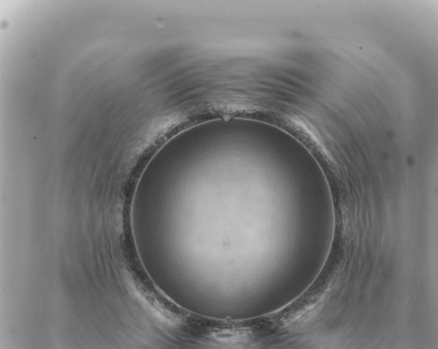 X0000088600447200706011207