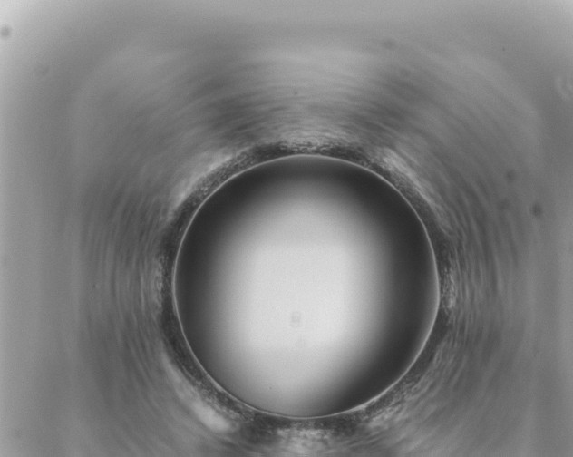 X0000088600448200706011207