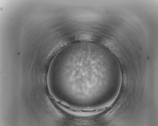 X0000088600449200706011207