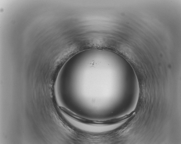 X0000088600450200706011207