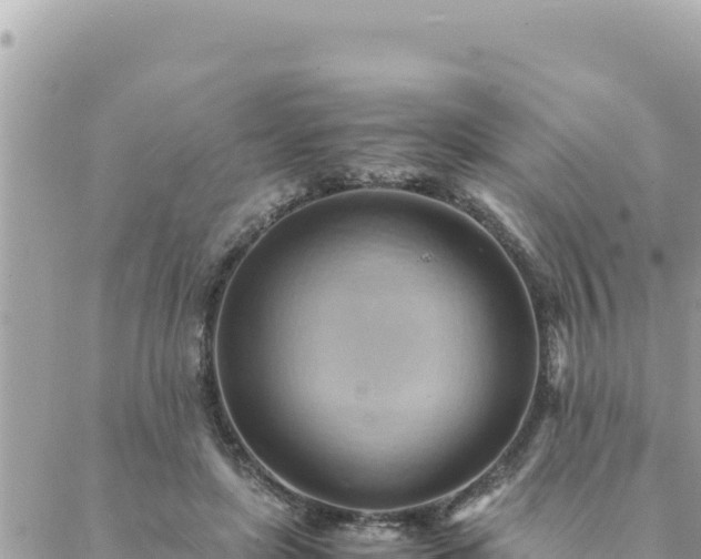 X0000088600451200706011207