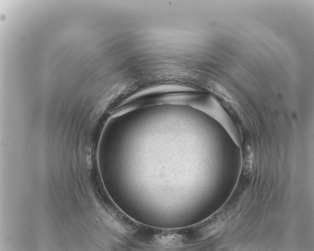 X0000088600452200706011207