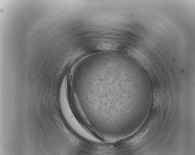 X0000088600453200706011207