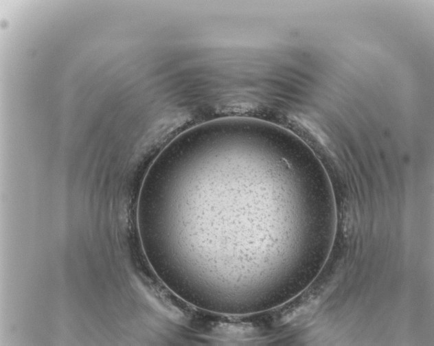 X0000088600455200706011207