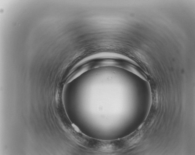 X0000088600456200706011207