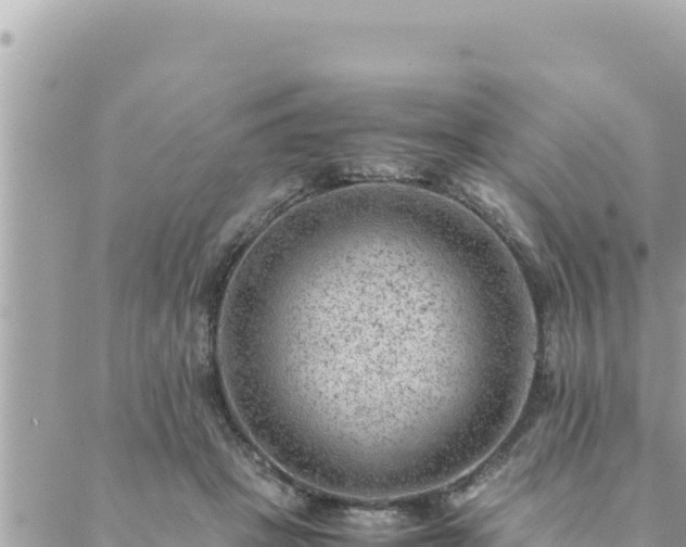 X0000088600457200706011207