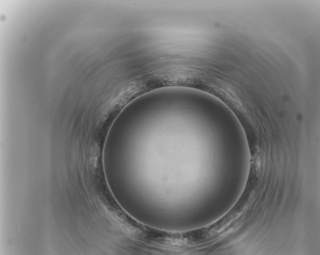 X0000088600458200706011207