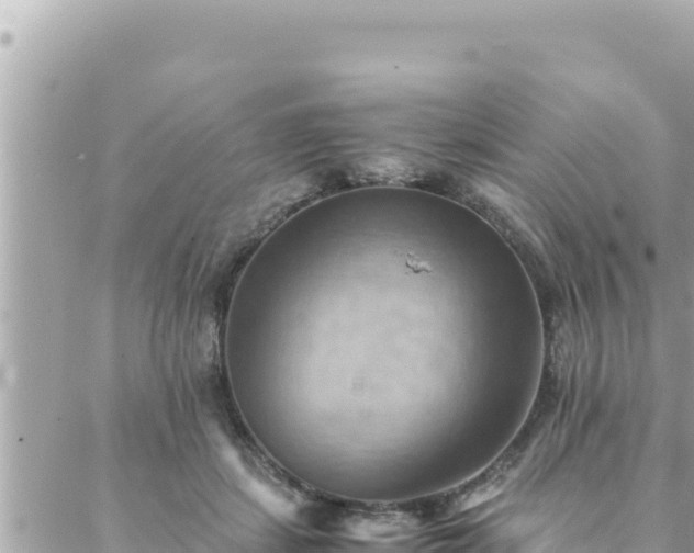 X0000088600459200706011207