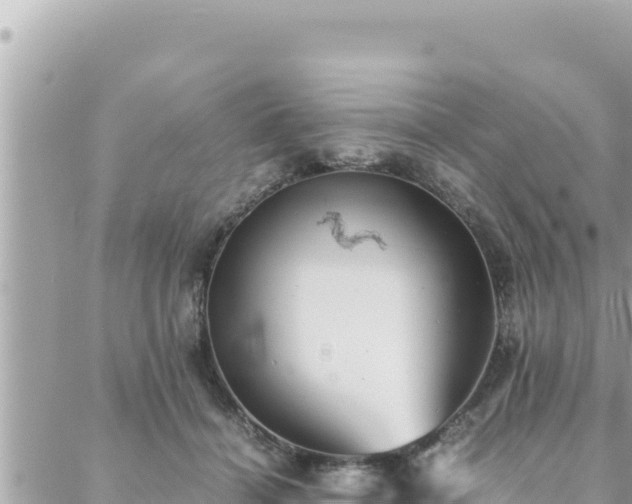 X0000088600460200706011207