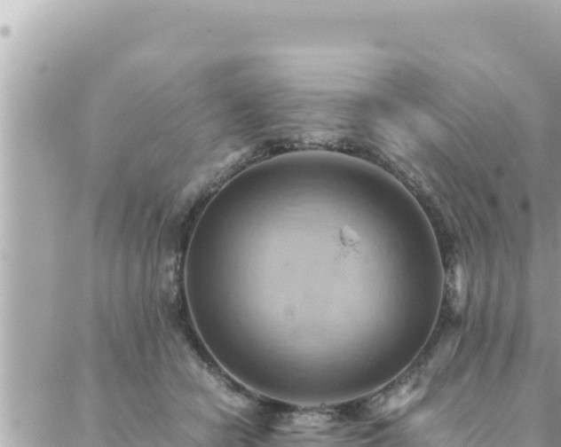 X0000088600462200706011207