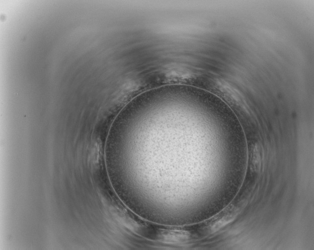 X0000088600463200706011207