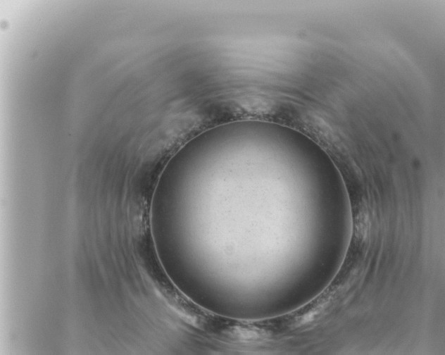 X0000088600464200706011207