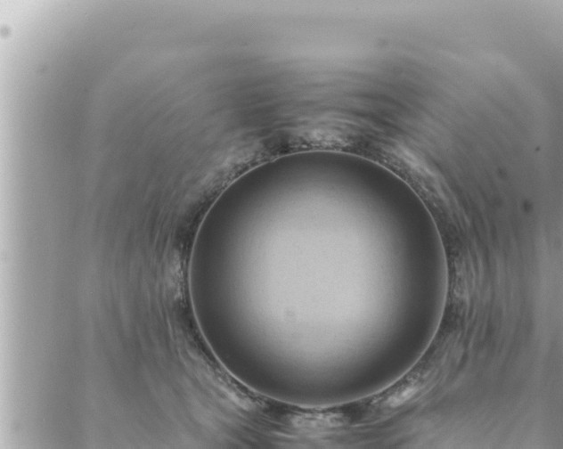 X0000088600465200706011207