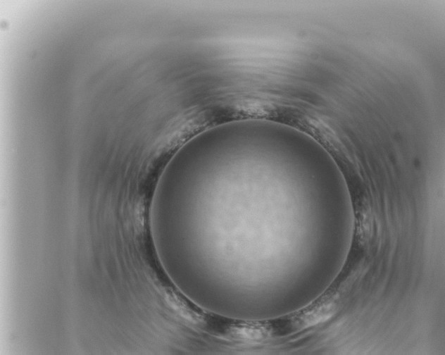 X0000088600466200706011207