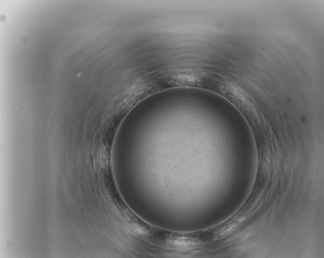 X0000088600467200706011207