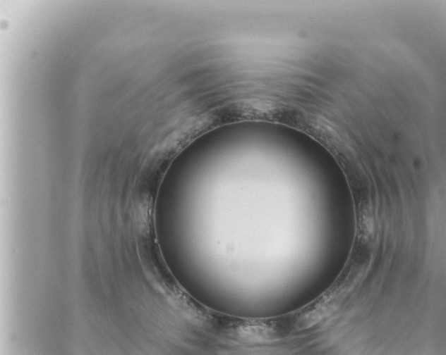 X0000088600468200706011207