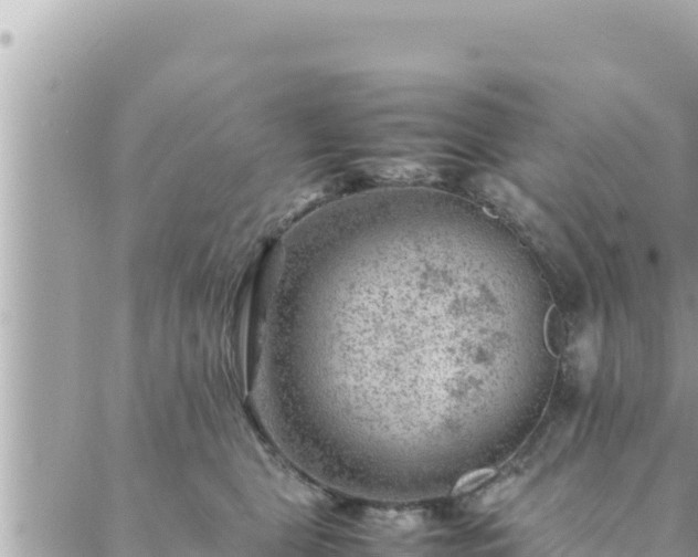 X0000088600469200706011207